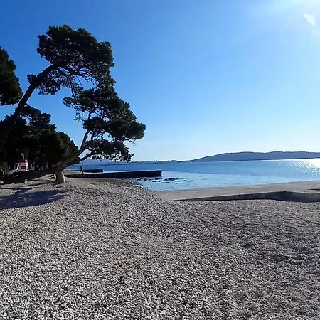 Seashell * Kaštela